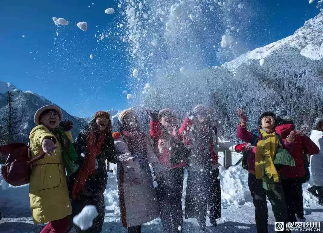 冰雪与花海齐飞！二月的四川美翻了......