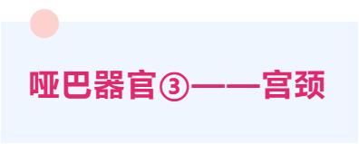 多年996的你，这三个「哑巴」器官还健康吗？