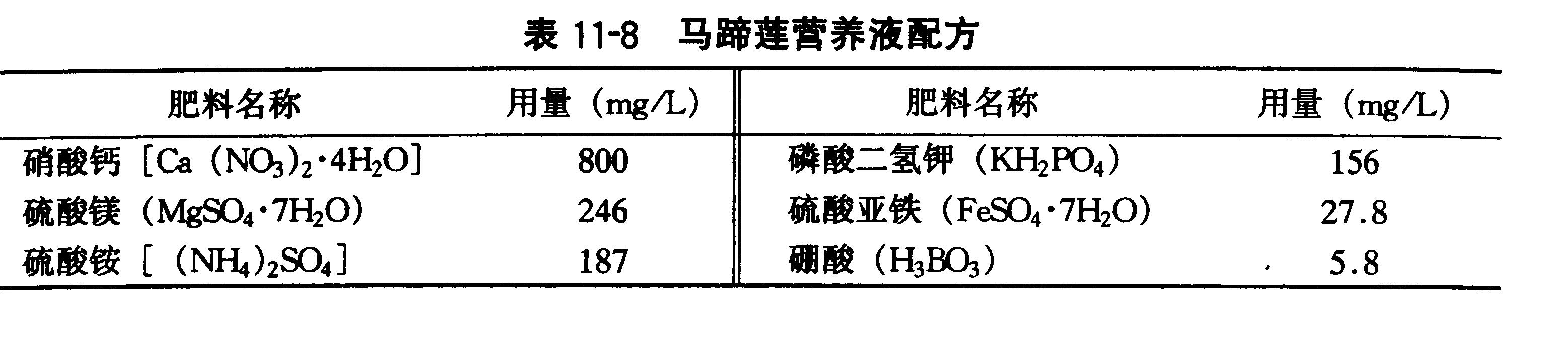 马蹄莲种球放阳台,马蹄莲室内阳台可以养吗