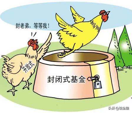 豪横出自哪,豪横选择大学