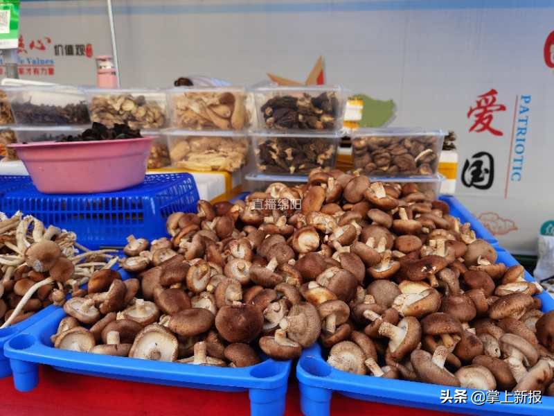 野生毒蘑菇销毁,野生蘑菇当地市场监管部门销毁