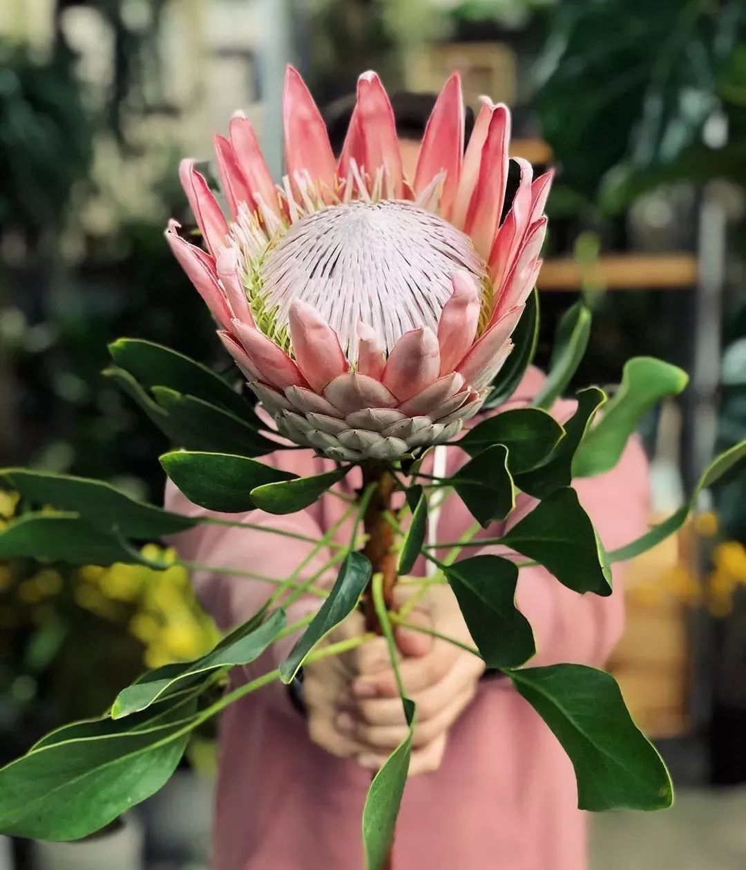 鲜花店日常换水整理花材,花要不要经常换水