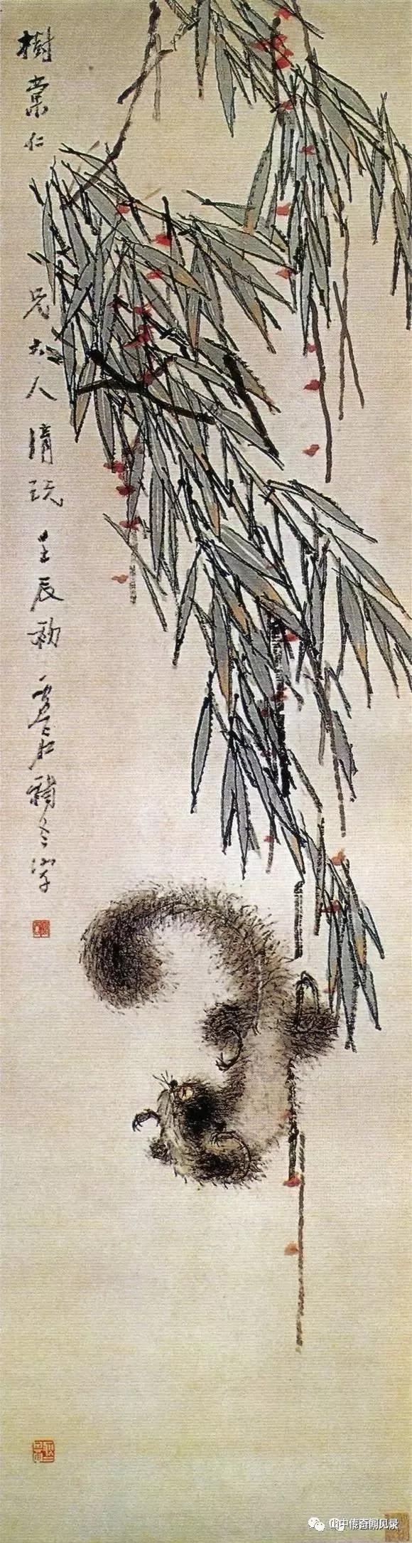 山间偶遇松鼠,巨大松鼠野生动物