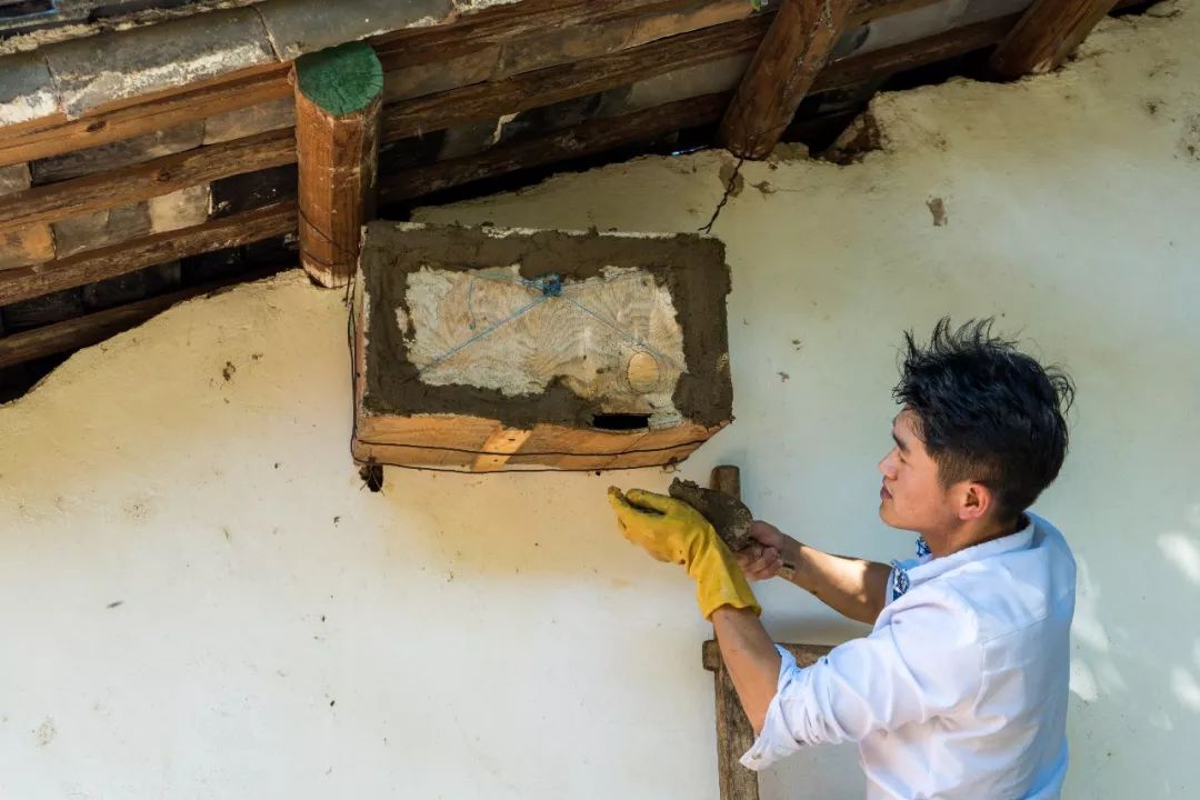 土蜂蜜的取蜜全过程,土蜂蜜取蜜全过程记录