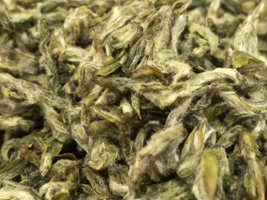 蒙山茶叶,蒙山茶文化发源地