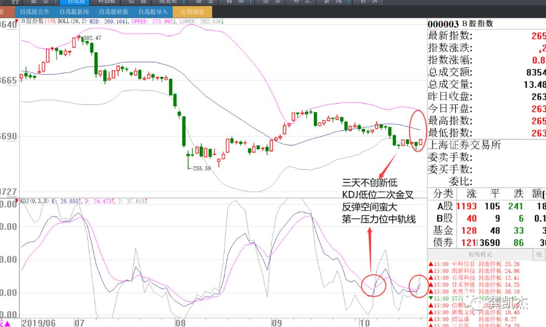 晚评：涨停狂潮，错过了就哭吧