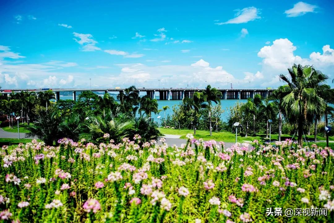 这就是幸福日本歌曲,重庆幸福南山