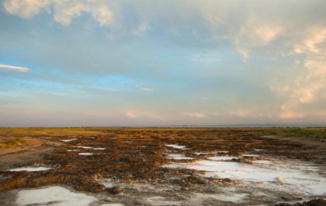 土壤盐害,土壤盐害哪里