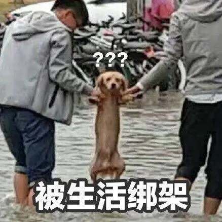 哥弟怎样,哥弟攻略