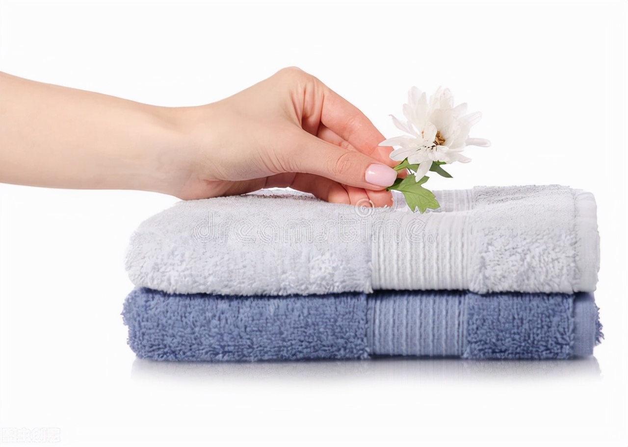 养宠日记300字,养宠日记