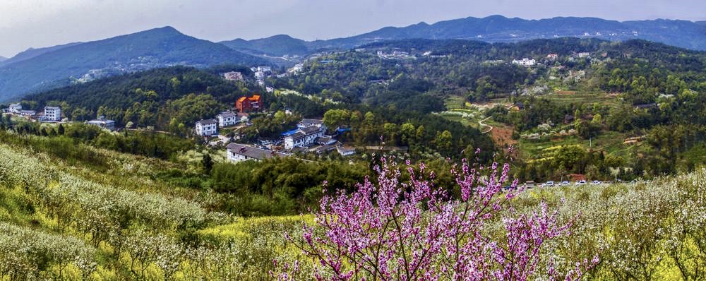 閲嶅簡鑱氫細姘戝鎺ㄨ崘,閲嶅簡鍗佷汉鍑烘父姘戝