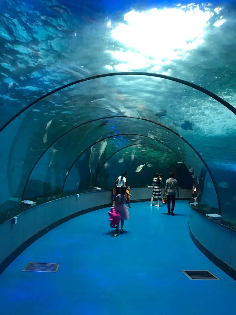 春节假期济南适合儿童玩的地方,济南亲子游玩必去十个景点