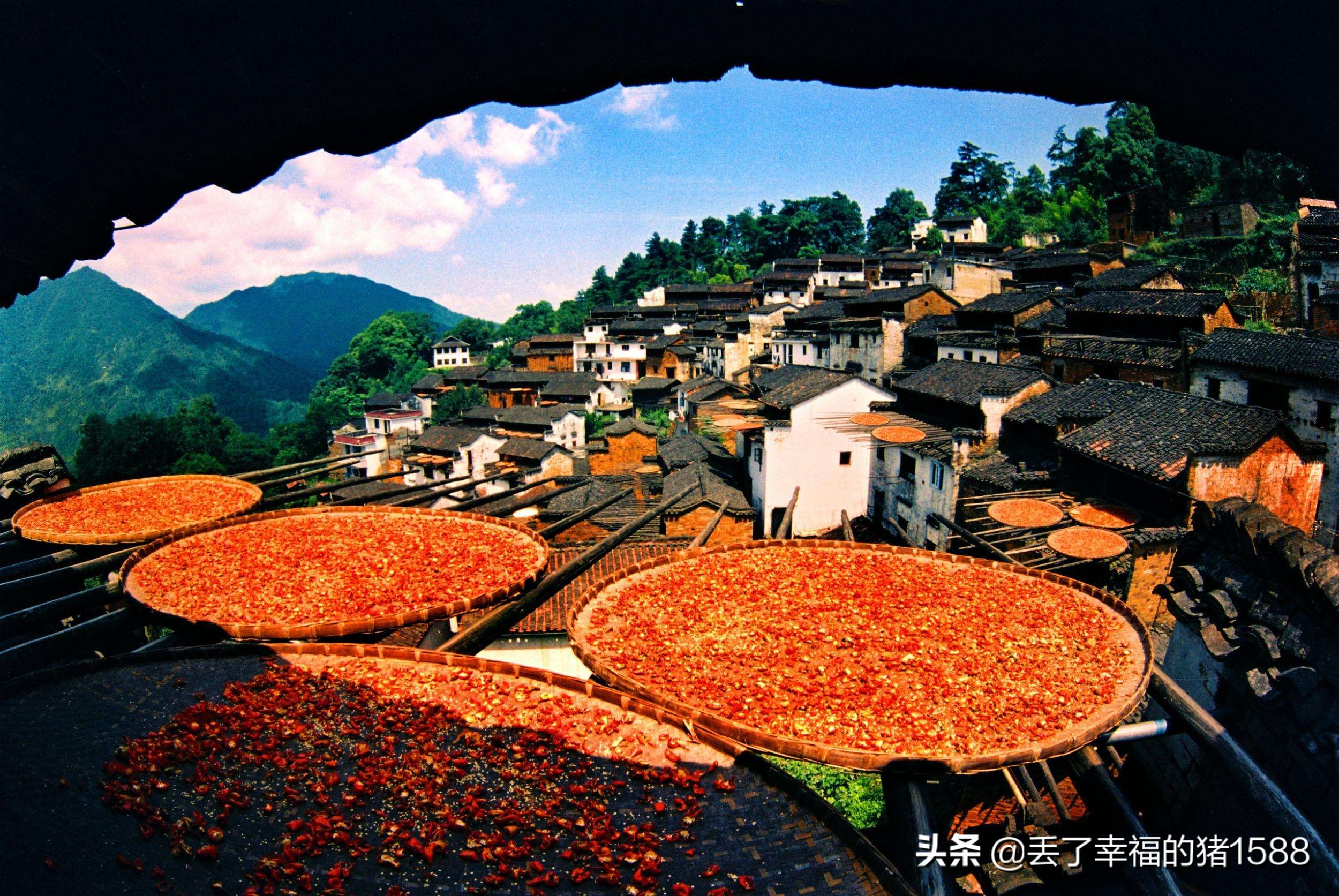 婺源最新旅游攻略自由行,厦门到婺源3天旅游攻略