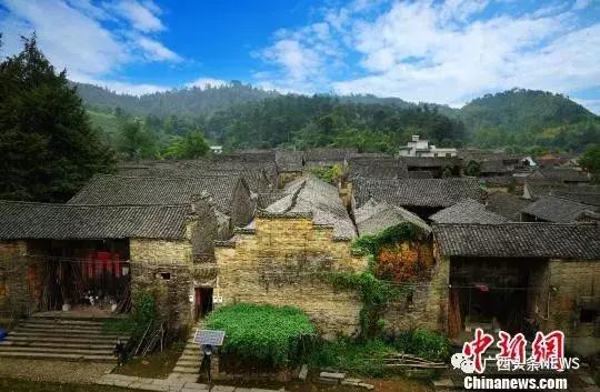 广西省全国文保单位,广西国家保护动物