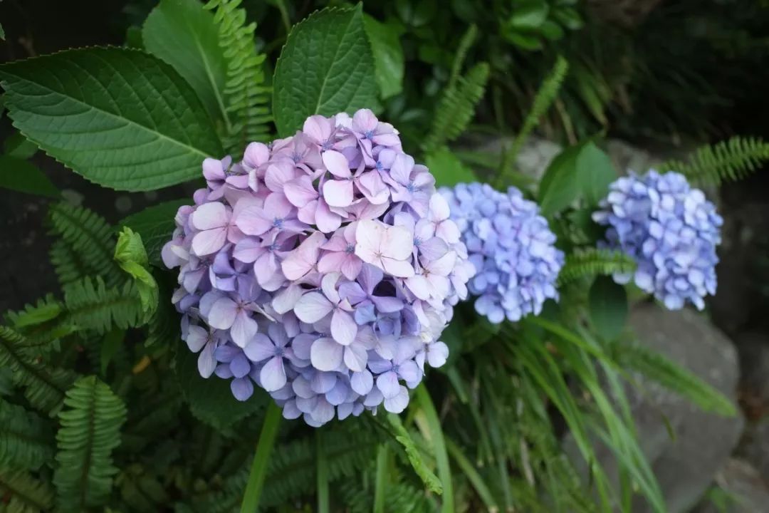 邮轮旅行5天多少钱合适儿童,带孩子坐邮轮旅游攻略日本