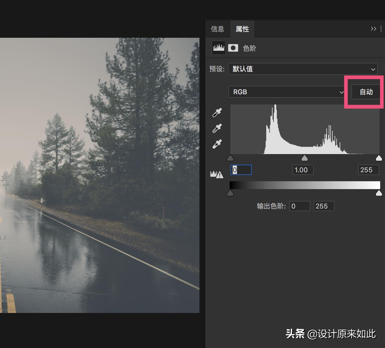 ps可选颜色与色阶调色的区别,ps怎么调色照片背景颜色