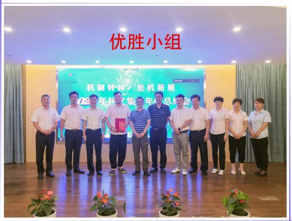 上海杨艺集团,杨艺集团最新公告