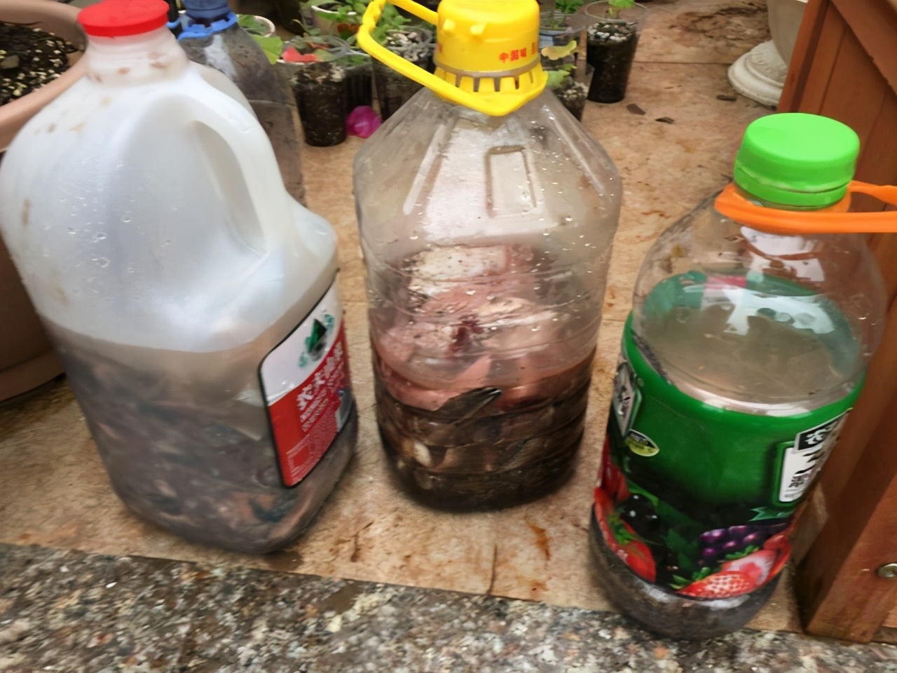 花肥自制有机肥,养花自制花肥