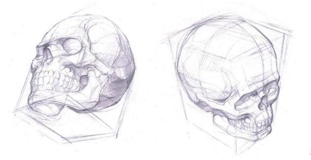人体板绘入门基础知识,新手板绘自学入门教程