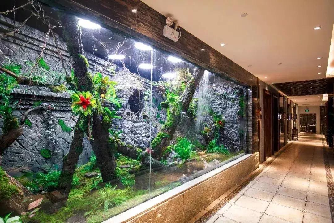 帝王蟹自助在哪里吃比较好,帝王蟹随便吃后续