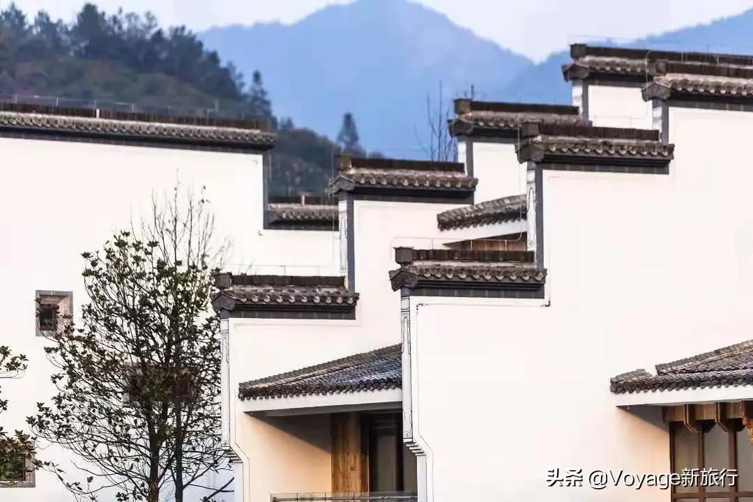 旅行民宿春天赏花,附近哪里有赏花民宿