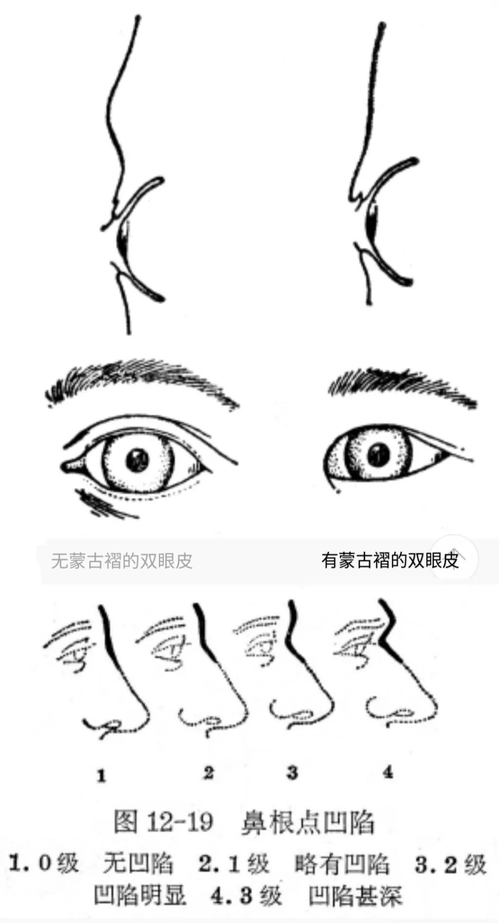 江西妹子典型长相图,江西地域长相特征