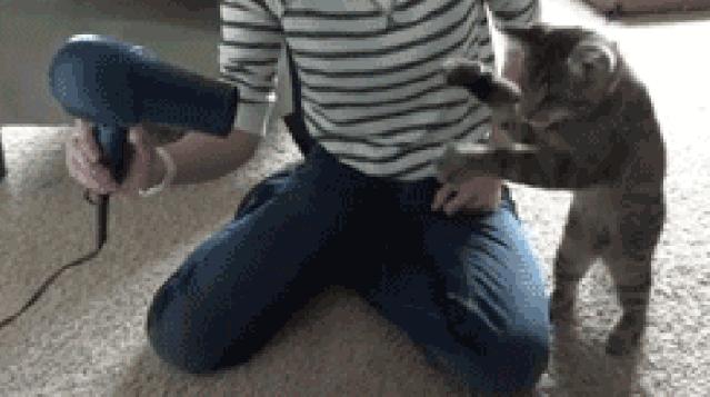 背式吹风机的价格,贵的吹风机比便宜的好吗