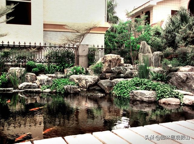 园林假山鱼池设计教程,鱼池假山怎样建才好看