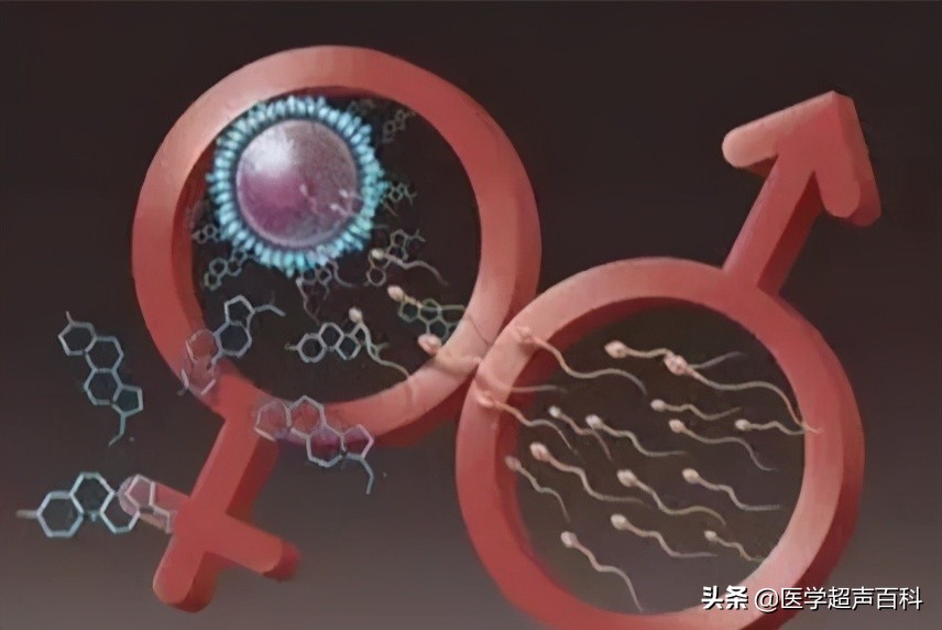 女性备孕需要注意什么事项,备孕前提前多久去做优生优育检查