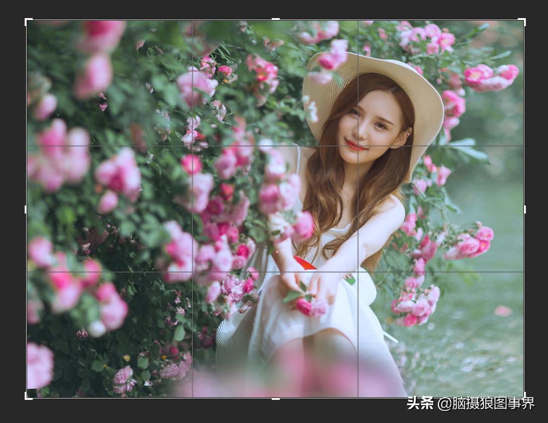 摄影中的三分法运用技巧,三分法构图如何选择拍摄内容