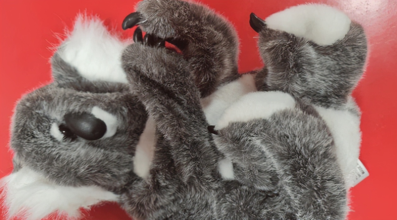 澳媒曝光“澳洲制造”真相：中国玩具换标秒变澳洲货，销量暴涨？