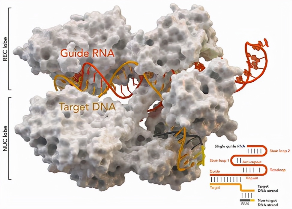 笔记本电脑推荐2020大学生可触屏,笔记本电脑推荐大学生专用