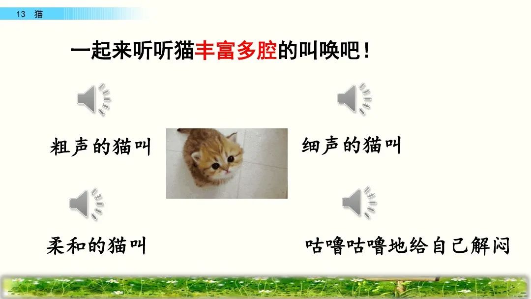 四年级下册语文13课猫课文解析,部编版四年级下册13猫教学视频