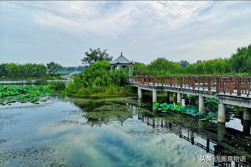 诗词鉴赏｜亭廊秀色觅荷香，月夜苍穹映碧光