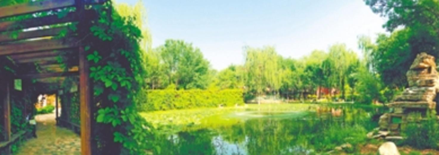 平罗县发展,宁夏平罗县教育水平