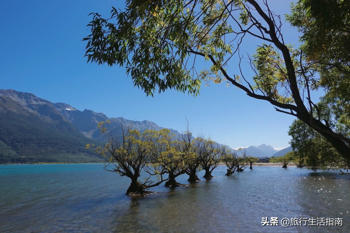 新西兰小镇格林诺奇,新西兰格林诺奇介绍