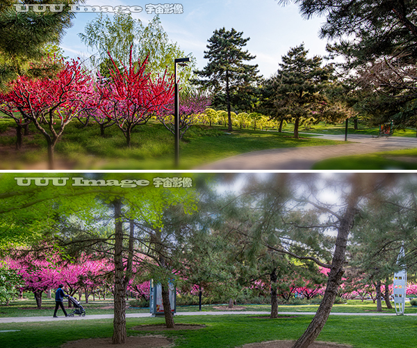 通惠庆丰公园介绍,白云区庆丰公园