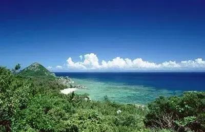 直营好还是加盟好,直营和连锁哪个赚钱