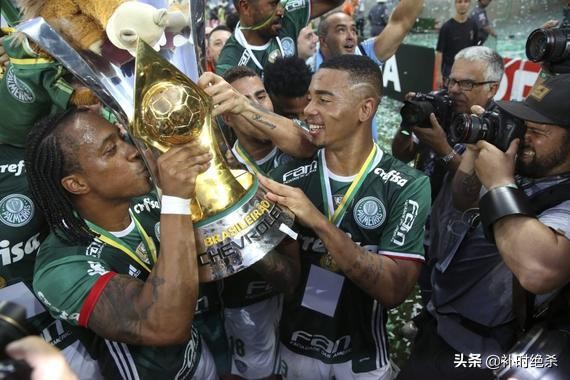 巴甲联赛球队简介,巴甲联赛是啥意思