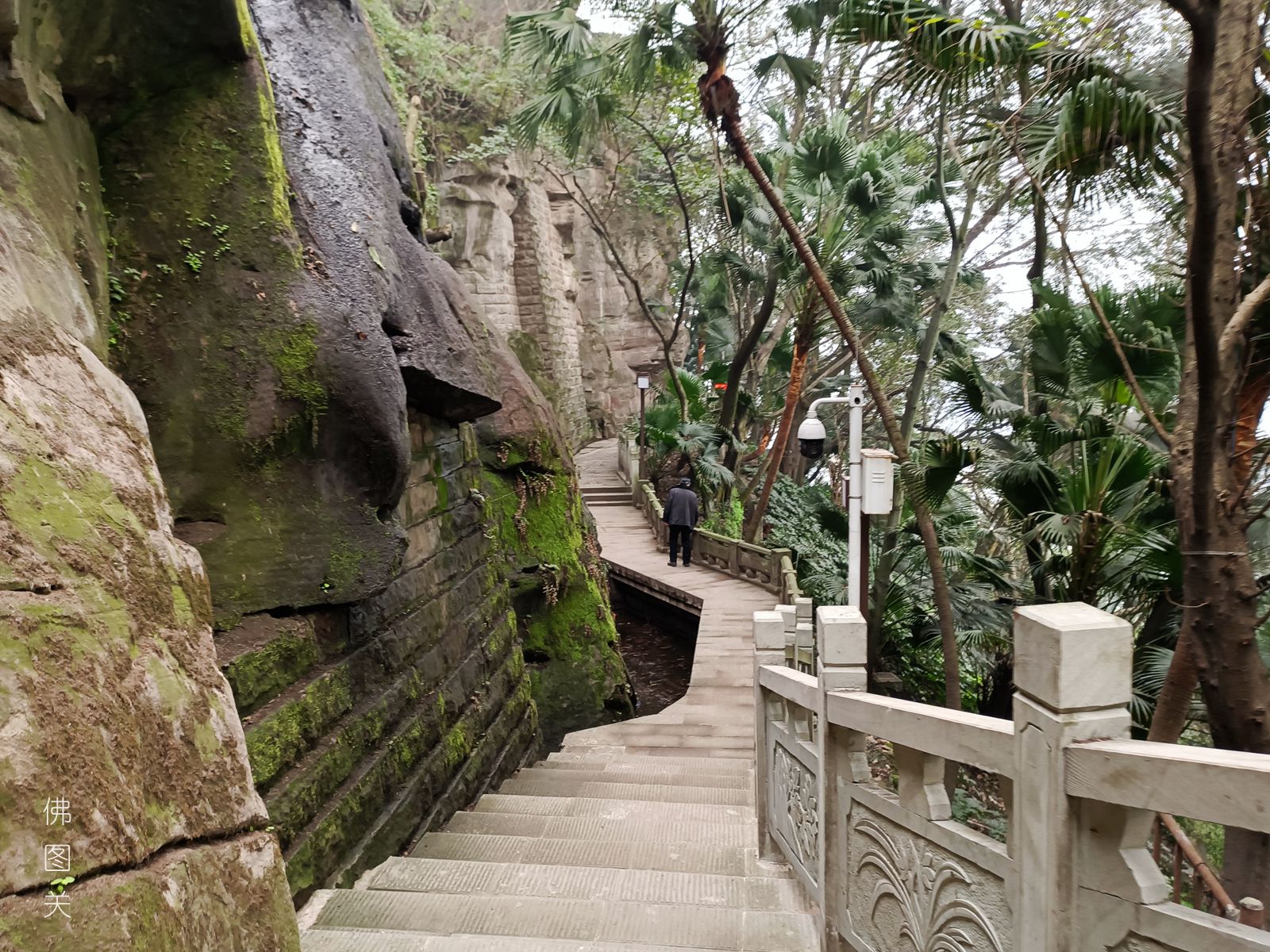 半山崖步道路线,渝中区半山崖步道