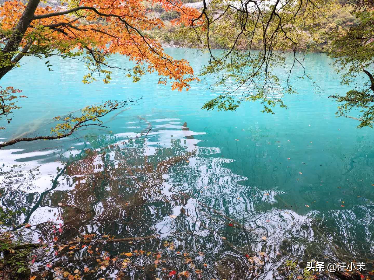 梦幻般的九寨沟之旅，却丢了存有所有照片和视频的手机：悼念小米