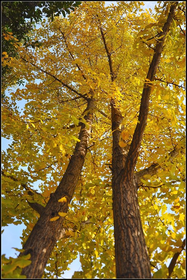 长沙风景拍摄取景地,长沙有哪些地方好拍照