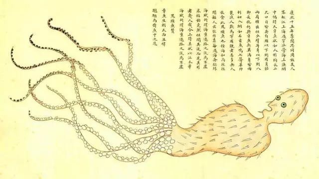 清代海错图有用吗,故宫海错图展