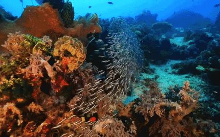 挪威的海洋纯音乐,挪威的海湾上帝的眼泪