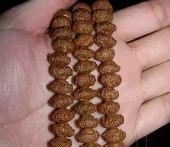 认识了70种菩提，您就是半个专家，再逛文玩市场就没有压力啦！