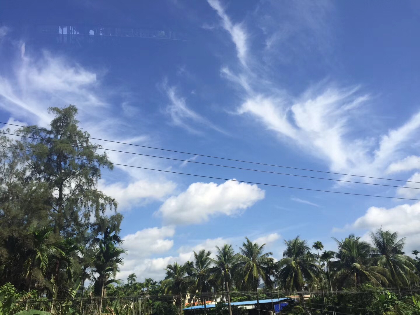 一个人如何把周末过成美好的样子？