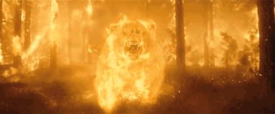 澳大利亚森林大火鸭嘴兽灭绝了吗,澳大利亚鸭嘴兽面临灭绝新闻