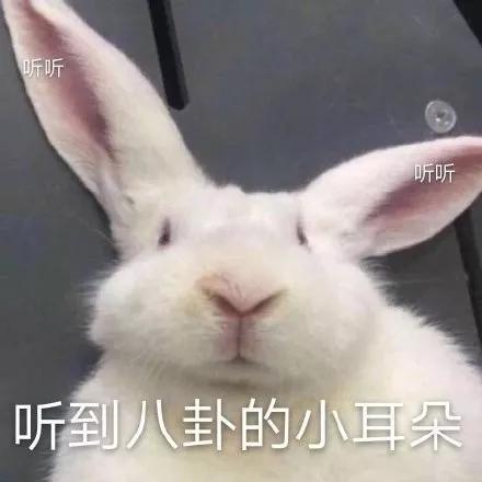 乔欣的包能装下什么,乔欣真的很有钱吗