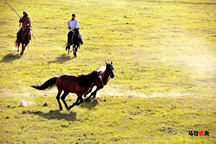 布里亚特牧民骑马摄影作品,草原蒙古族服饰摄影
