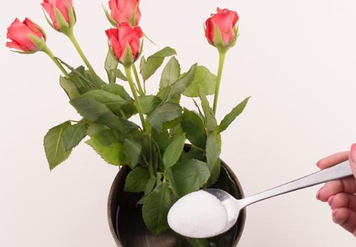 鲜花插花花艺课教程,婚礼花艺鲜花插花专业教程